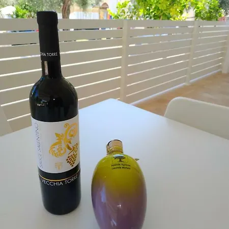 호텔 Le Case Di Nettuno 마티나타